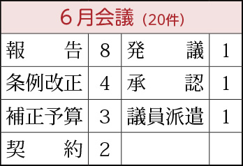 報告8件、条例改正4件、補正予算3件、契約2件、発議1件、承認1件、議員派遣1件
