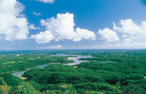 横山展望台から見た英虞（あご）湾の風景