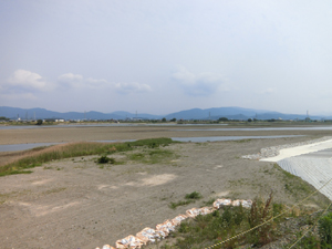 干上がった宮川河口付近の状況