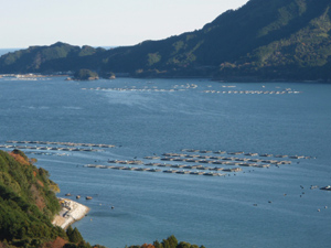 魚類の養殖漁場