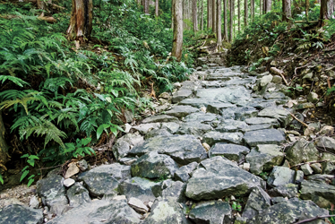 熊野古道（ツヅラト峠）