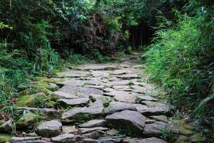 熊野古道（馬越峠道）