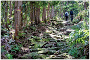 熊野古道の魅力を発信! 南部地域の振興