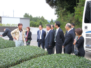 世界農業遺産に認定されている茶草場農法を調査(静岡県)