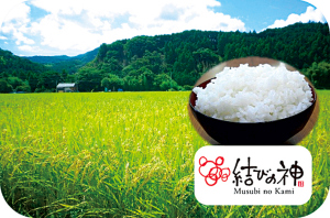 県産ブランド米「結びの神」