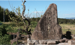 西部地域の活性化を（追分梅林）