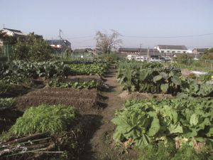 市民農園は地域コミュニティーの場となることが期待できる