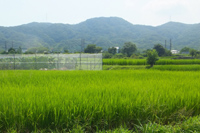 田園風景