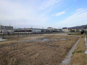 今池埋立地の現状